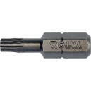 Bit torx T20 x 1/4”, dl.25mm 10ks YATO YT-78143