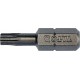 Bit torx T20 x 1/4”, dl.25mm 10ks YATO YT-78143