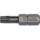 Bit torx T25 x 1/4”, dl.25mm 10ks YATO YT-78144